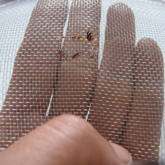 Lưới inox chống muỗi