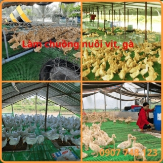 Lưới nhựa xanh Lưới nhựa xanh
