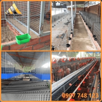 Lưới Thép Làm Chuồng